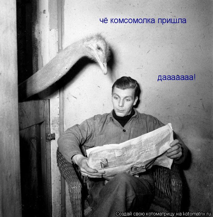 Котоматрица: чё комсомолка пришла дааааааа!