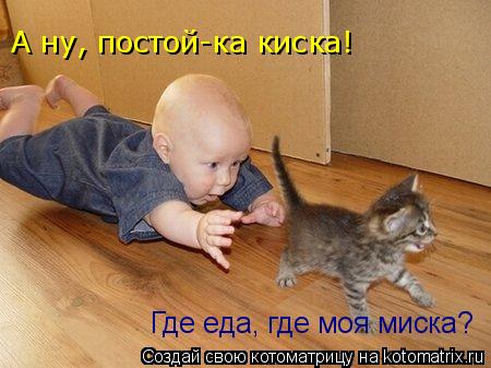 Котоматрица: Где еда, где моя миска?  А ну, постой-ка киска!