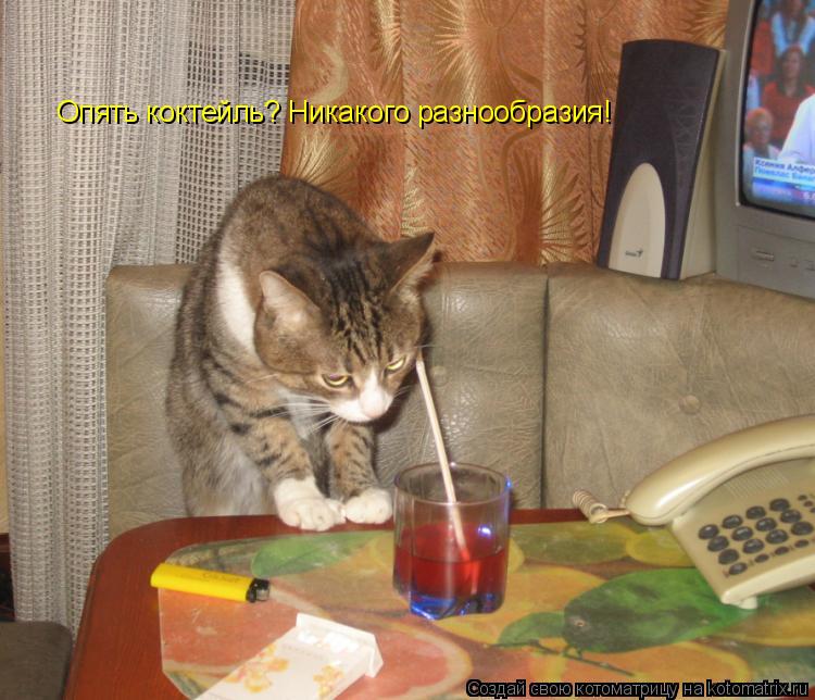 Котоматрица: Опять коктейль? Никакого разнообразия!