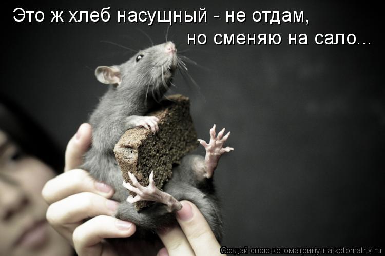 http://kotomatrix.ru/images/lolz/2010/03/01/501408.jpg