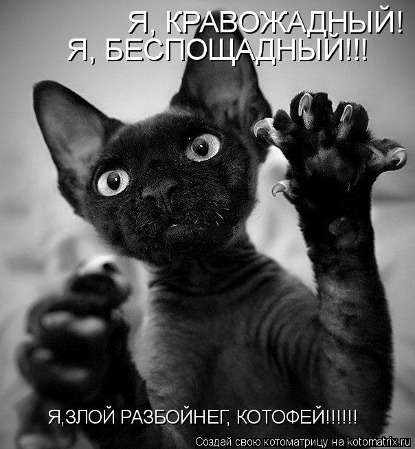 Котоматрица: Я, КРАВОЖАДНЫЙ!   Я, БЕСПОЩАДНЫЙ!!!   Я,ЗЛОЙ РАЗБОЙНЕГ, КОТОФЕЙ!!!!!!