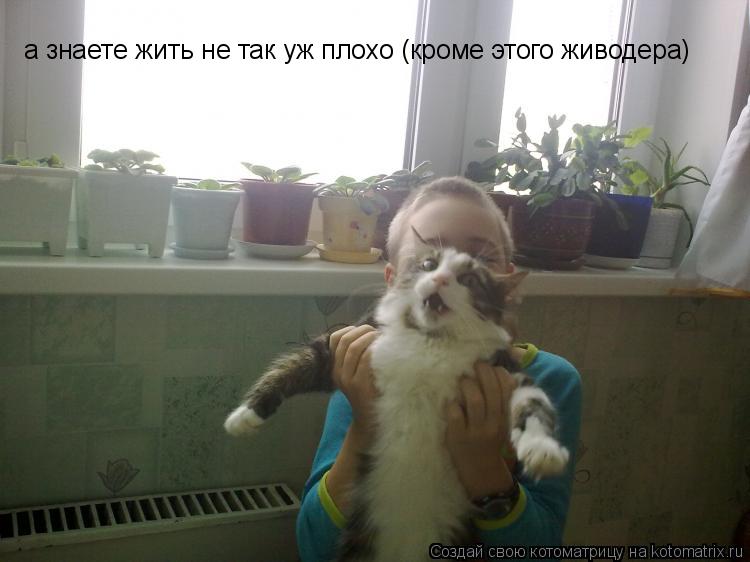 Котоматрица: а знаете жить не так уж плохо (кроме этого живодера)