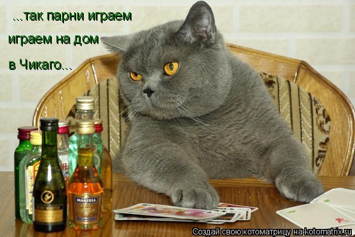 Котоматрица: ...так парни играем  играем на дом  в Чикаго...