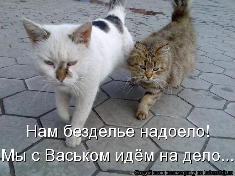 Котоматрица: Нам безделье надоело! Мы с Васьком идём на дело...