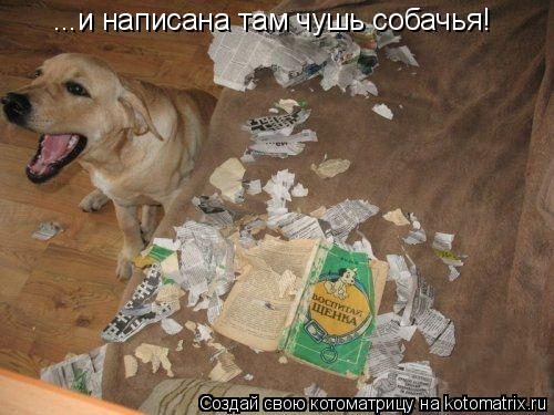 ...и написана там чушь собачья!... Котоматрица: ...и написана там чушь собачья!