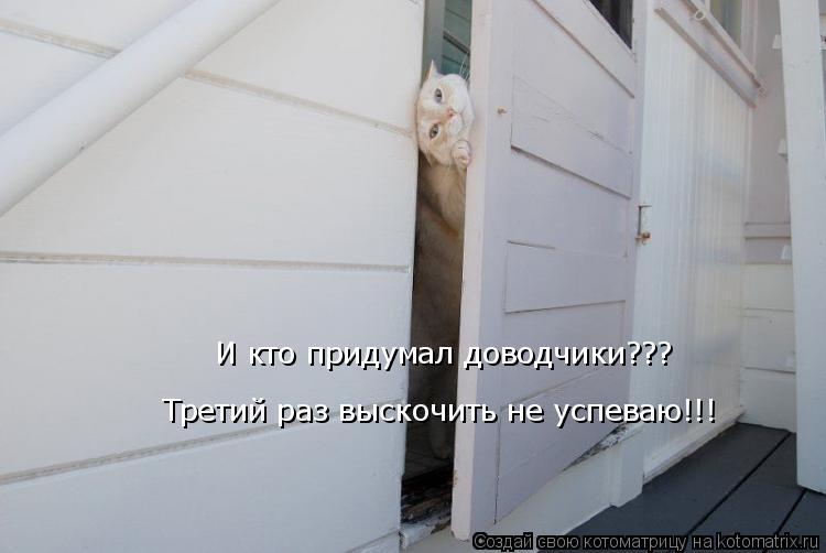 И кто придумал доводчики??? Третий раз выскочить не успеваю!!!... Котоматрица: И кто придумал доводчики??? Третий раз выскочить не успеваю!!!