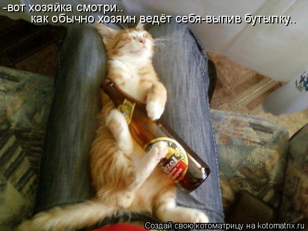 -вот хозяйка смотри.. как обычно хозяин ведёт себя-выпив бутылку..... Котоматрица: -вот хозяйка смотри.. как обычно хозяин ведёт себя-выпив бутылку..