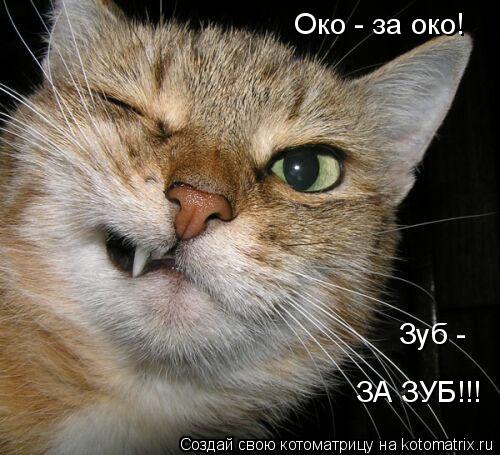 Котоматрица: Око - за око! Зуб -  ЗА ЗУБ!!!