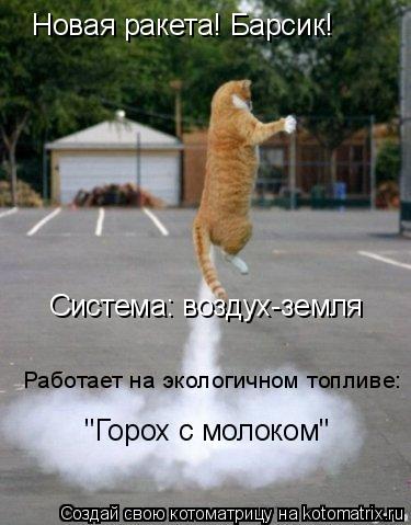 Котоматрица: Новая ракета! Барсик! Система: воздух-земля Работает на экологичном топливе: "Горох с молоком"