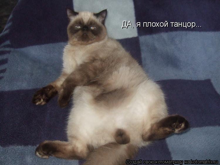 Котоматрица: ДА, я плохой танцор...