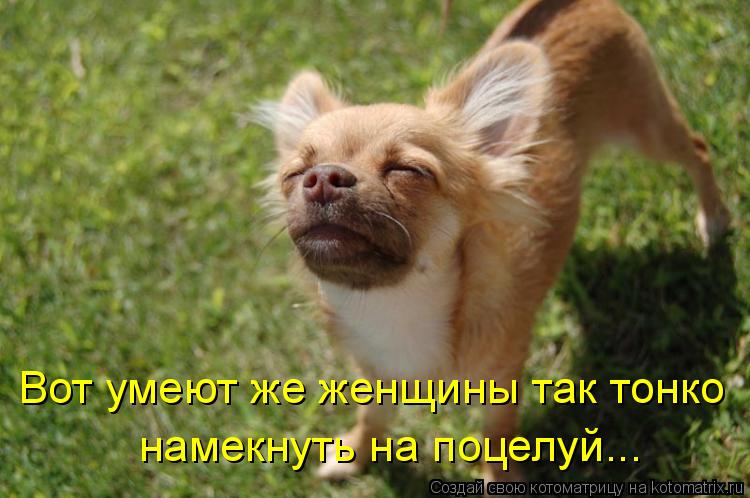 Котоматрица: Вот умеют же женщины так тонко намекнуть на поцелуй...