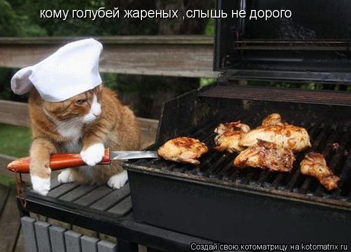 Котоматрица: кому голубей жареных ,слышь не дорого