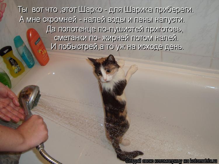 Котоматрица: Ты  вот что ,этот Шарко - для Шарика прибереги. А мне скромней - налей воды и пены напусти. Да полотенце по-пушистей приготовь, сметанки по- жир