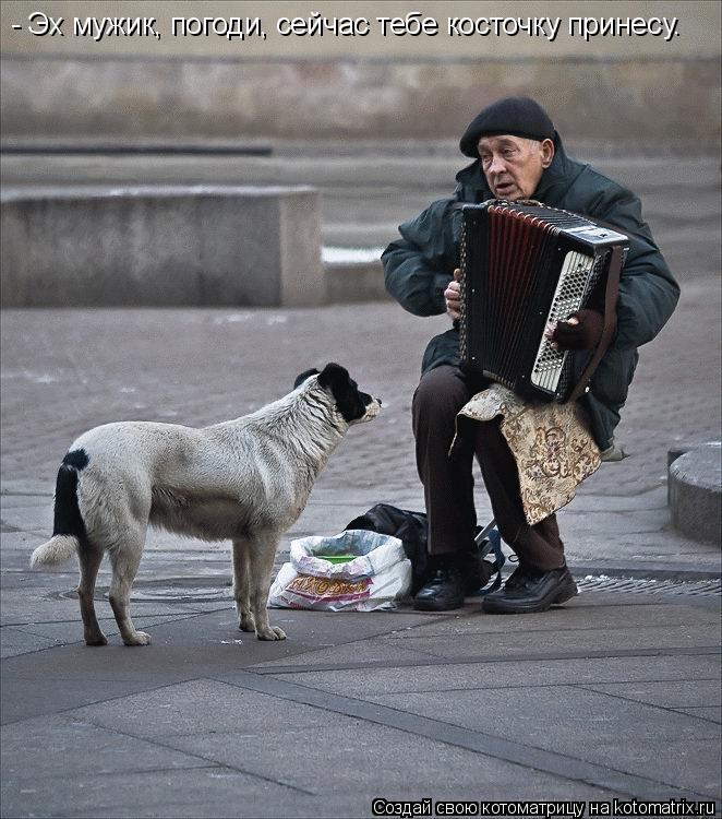 Котоматрица: - Эх мужик, погоди, сейчас тебе косточку принесу.