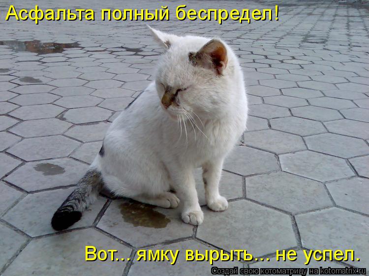 Асфальта полный беспредел! Вот... ямку вырыть... не успел.... Котоматрица: Асфальта полный беспредел! Вот... ямку вырыть... не успел.