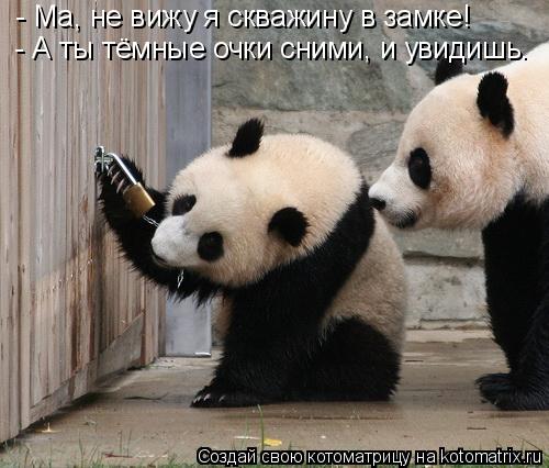 Котоматрица: - Ма, не вижу я скважину в замке! - А ты тёмные очки сними, и увидишь.