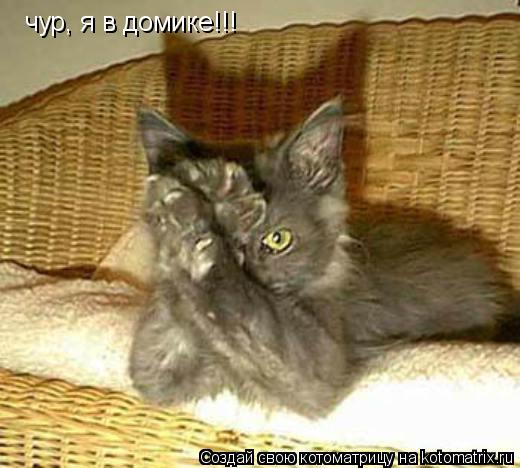 Котоматрица: чур, я в домике!!!