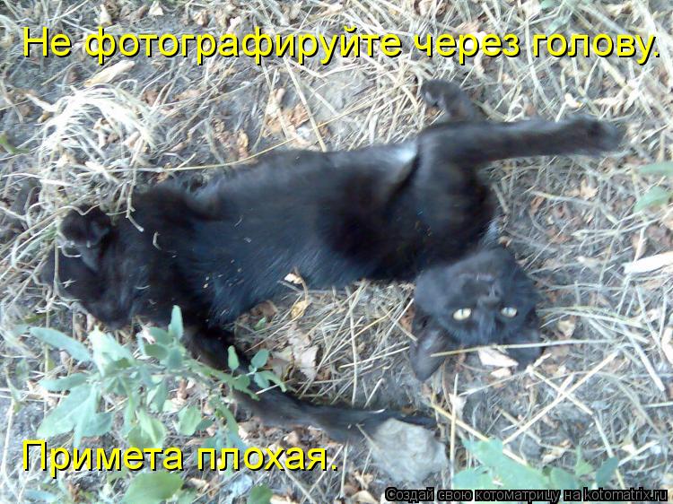 Котоматрица: Не фотографируйте через голову. Примета плохая.