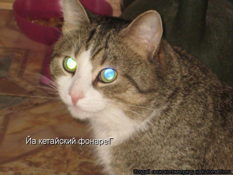 Котоматрица: Йа кетайский фонареГ