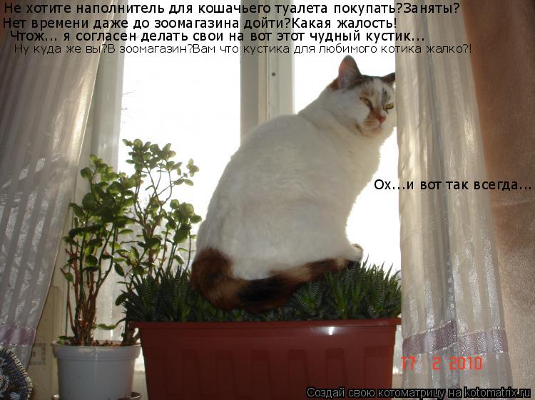 Котоматрица: Не хотите наполнитель для кошачьего туалета покупать?Заняты? Нет времени даже до зоомагазина дойти?Какая жалость! Чтож... я согласен делать 