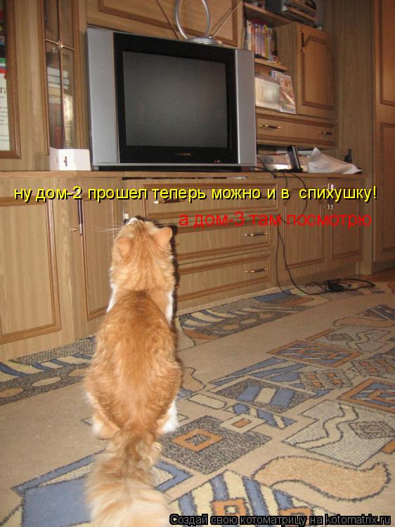 Котоматрица: ну дом-2 прошел теперь можно и в  спихушку! а дом-3 там посмотрю