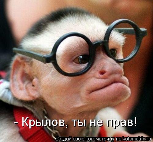 Котоматрица: - Крылов, ты не прав!