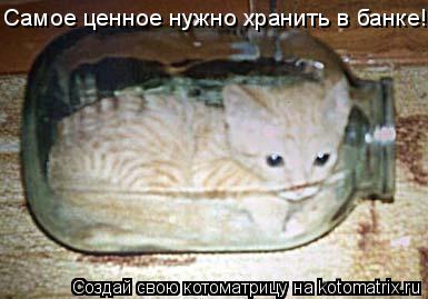 Котоматрица: Самое ценное нужно хранить в банке!