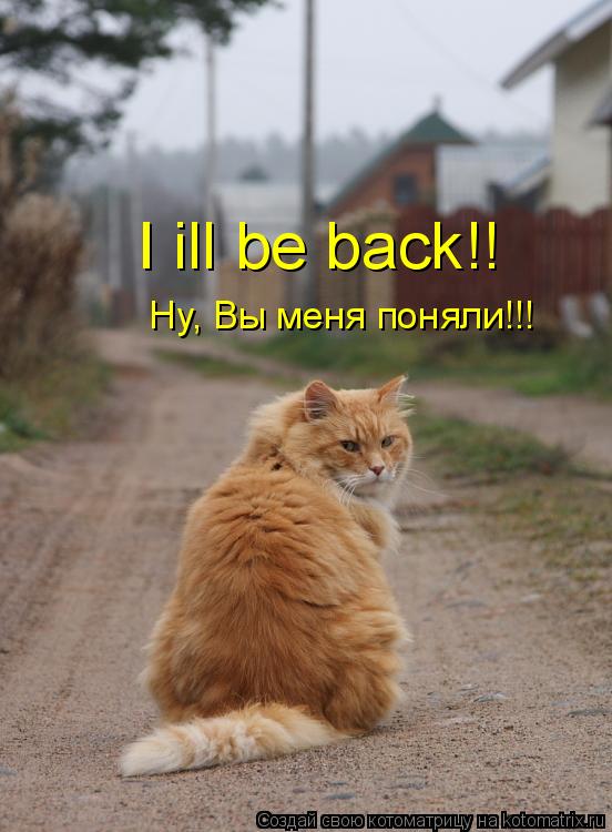 Котоматрица: I ill be back!!  Ну, Вы меня поняли!!!