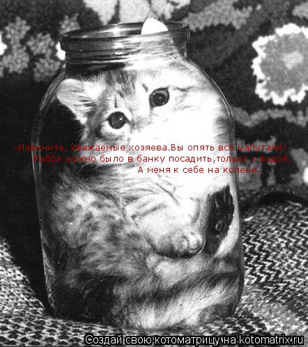 Котоматрица: -Извините, Уважаемые хозяева.Вы опять всё напутали! Рыбок нужно было в банку посадить,только с водой, А меня к себе на колени.