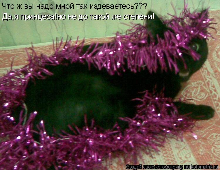 Что ж вы надо мной так издеваетесь??? Да,я принцеса!но не до такой же степени!... Котоматрица: Что ж вы надо мной так издеваетесь??? Да,я принцеса!но не до такой же степени!