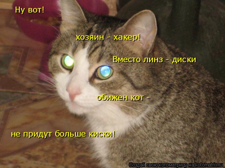 Ну вот! хозяин - хакер! Вместо линз - диски обижен кот - не придут больше киски!... Котоматрица: Ну вот! хозяин - хакер! Вместо линз - диски обижен кот - не придут больше киски!