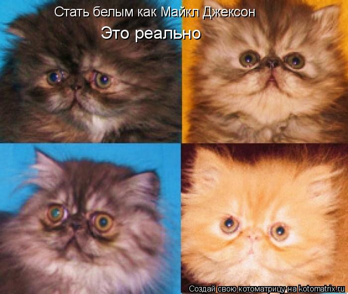 Стать белым как Майкл Джексон Это реально... Котоматрица: Стать белым как Майкл Джексон Это реально