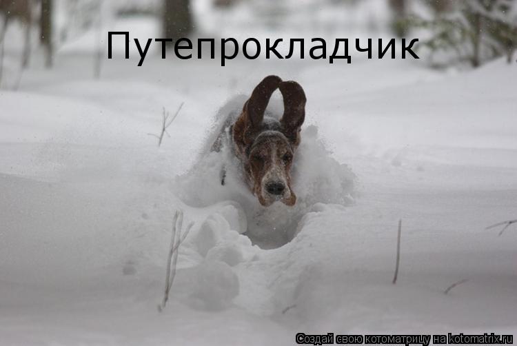 Путепрокладчик... Котоматрица: Путепрокладчик
