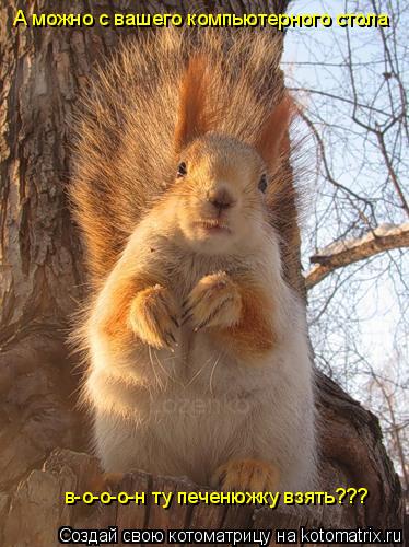 А можно с вашего компьютерного стола в-о-о-о-н ту печенюжку взять???... Котоматрица: А можно с вашего компьютерного стола в-о-о-о-н ту печенюжку взять???