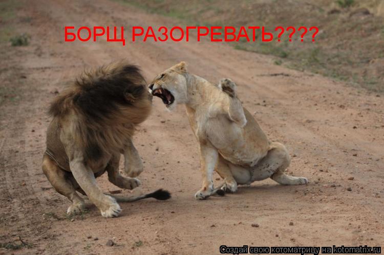 БОРЩ РАЗОГРЕВАТЬ????... Котоматрица: БОРЩ РАЗОГРЕВАТЬ????