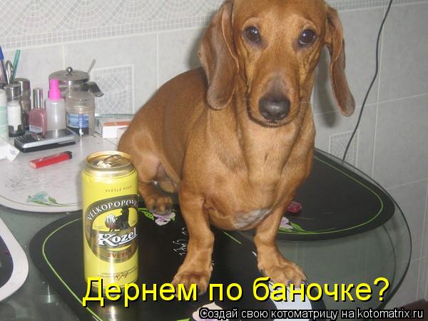 Дернем по баночке?... Котоматрица: Дернем по баночке?