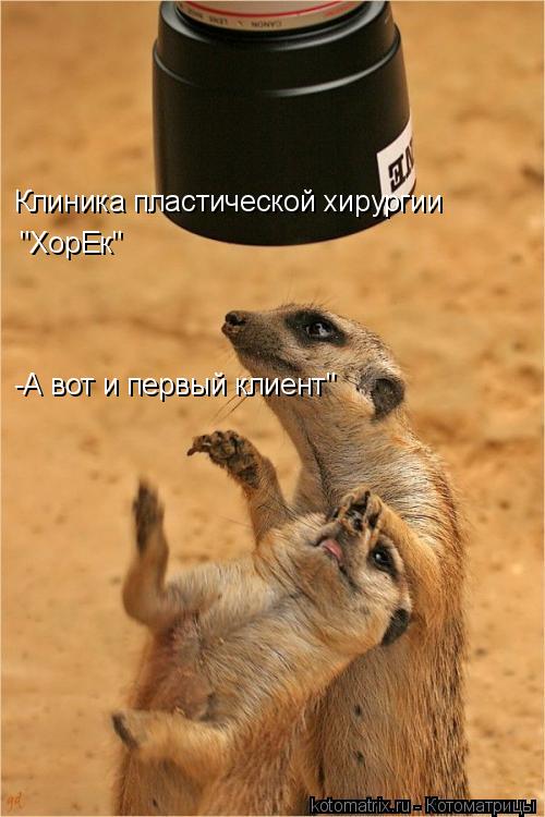 Клиника пластической хирургии "ХорЕк" -А вот и первый клиент"... Котоматрица: Клиника пластической хирургии "ХорЕк" -А вот и первый клиент"