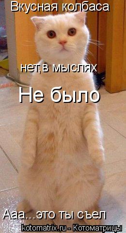 Вкусная колбаса Ааа...это ты съел нет,в мыслях Не было... Котоматрица: Вкусная колбаса Ааа...это ты съел нет,в мыслях Не было