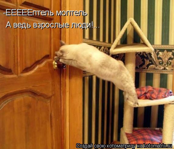 Котоматрица: -ЕЕЕЕЕптель моптель А ведь взрослые люди!...