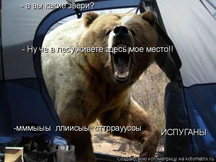 Котоматрица: - Ну че в лесу живете здесь мое место!!  - а вы какие звери? -мммыыы  ллиисыы  сттрраууссы ИСПУГАНЫ