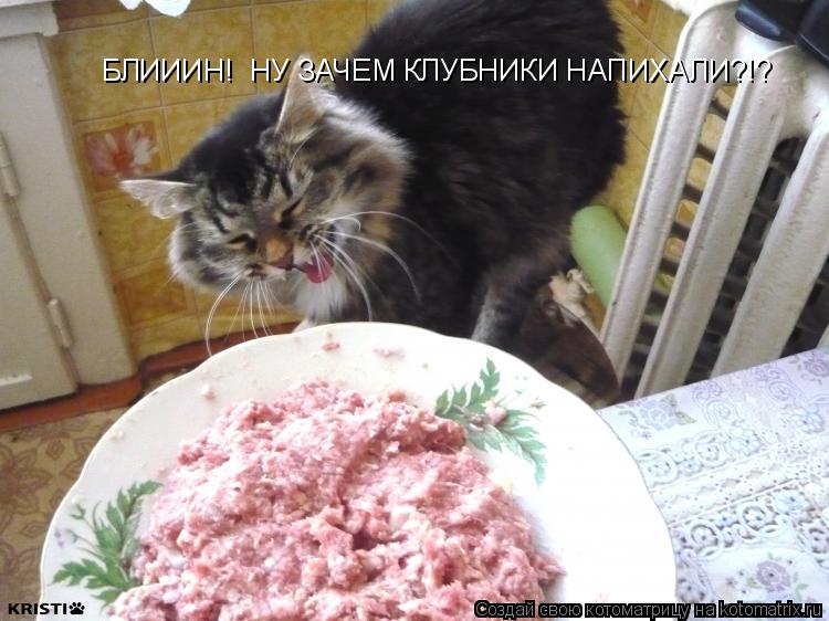 Котоматрица: БЛИИИН!  НУ ЗАЧЕМ КЛУБНИКИ НАПИХАЛИ?!?