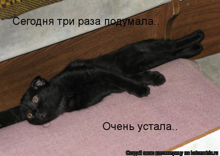 Котоматрица: Сегодня три раза подумала.. Очень устала..