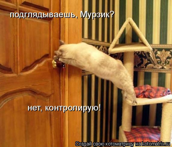 Котоматрица: подглядываешь, Мурзик? нет, контролирую!