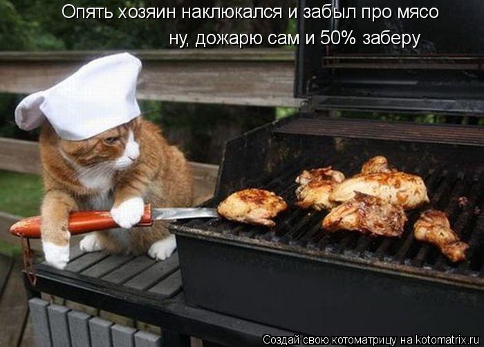 Котоматрица: Опять хозяин наклюкался и забыл про мясо  ну, дожарю сам и 50% заберу