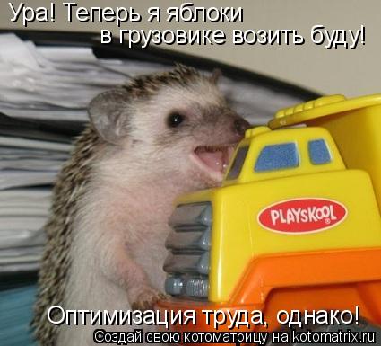 Ура! Теперь я яблоки в грузовике возить буду! Оптимизация труда, однако!... Котоматрица: Ура! Теперь я яблоки в грузовике возить буду! Оптимизация труда, однако!