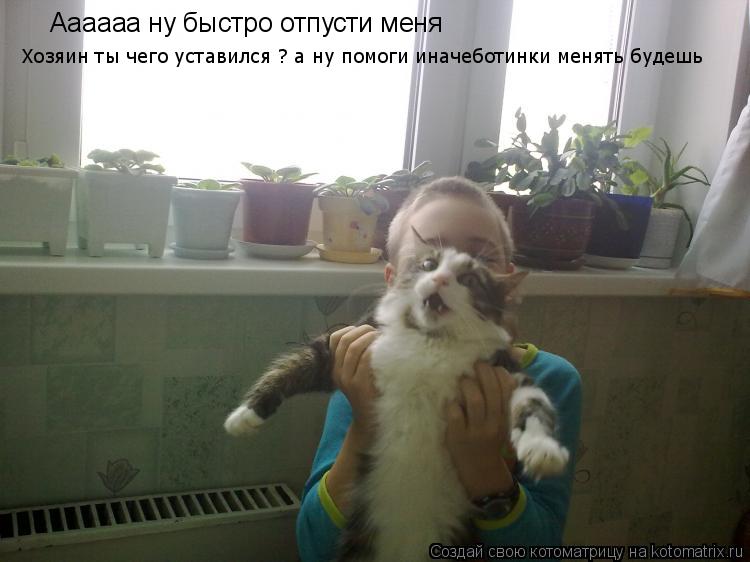 Котоматрица: Аааааа ну быстро отпусти меня Хозяин ты чего уставился ? а ну помоги иначеботинки менять будешь