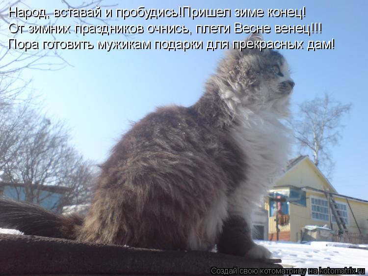 Котоматрица: Народ, вставай и пробудись!Пришел зиме конец! От зимних праздников очнись, плети Весне венец!!! Пора готовить мужикам подарки для прекрасных