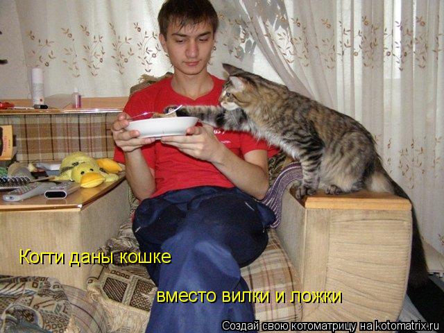 Котоматрица: Когти даны кошке вместо вилки и ложки