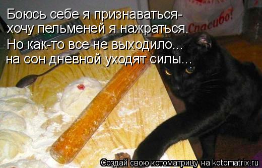 Боюсь себе я признаваться- хочу пельменей я нажраться. Но как-то все не выходило... на сон дневной ух... Котоматрица: Боюсь себе я признаваться- хочу пельменей я нажраться. Но как-то все не выходило... на сон дневной уходят силы...