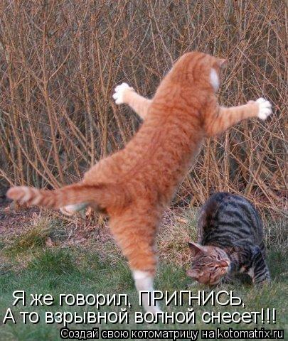 Котоматрица: Я же говорил, ПРИГНИСЬ,  А то взрывной волной снесет!!!